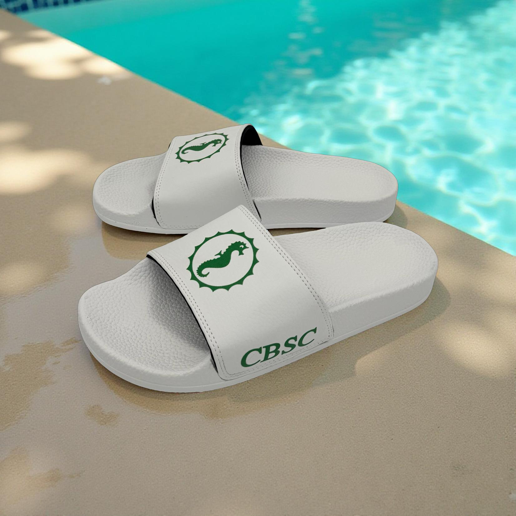 Swim Club Slides