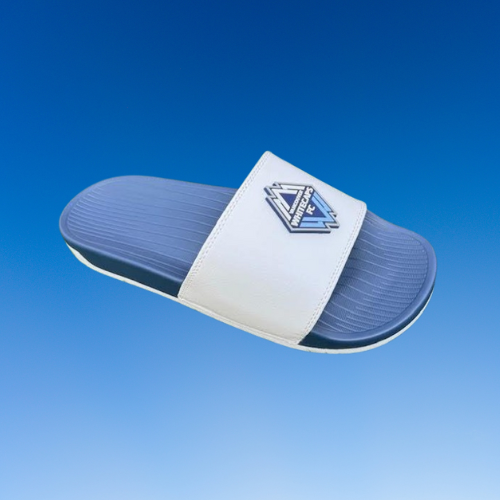 Vancouver Whitecaps Slides