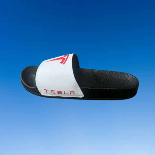 Tesla Slides