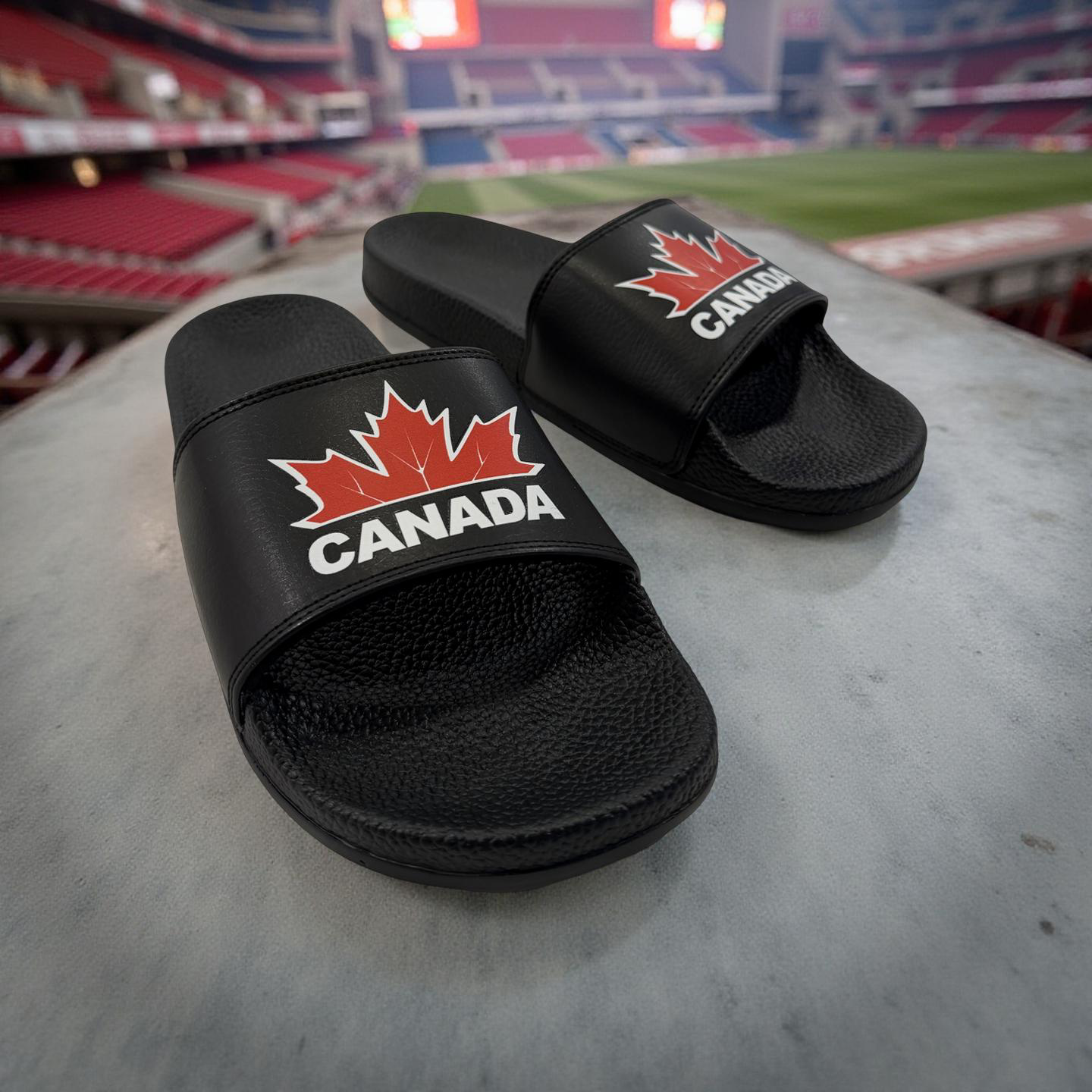 Team Canada Slides