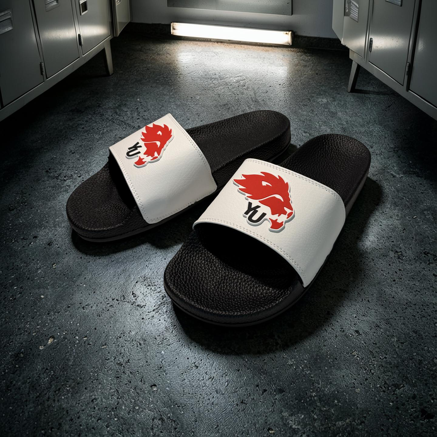 York University Slides