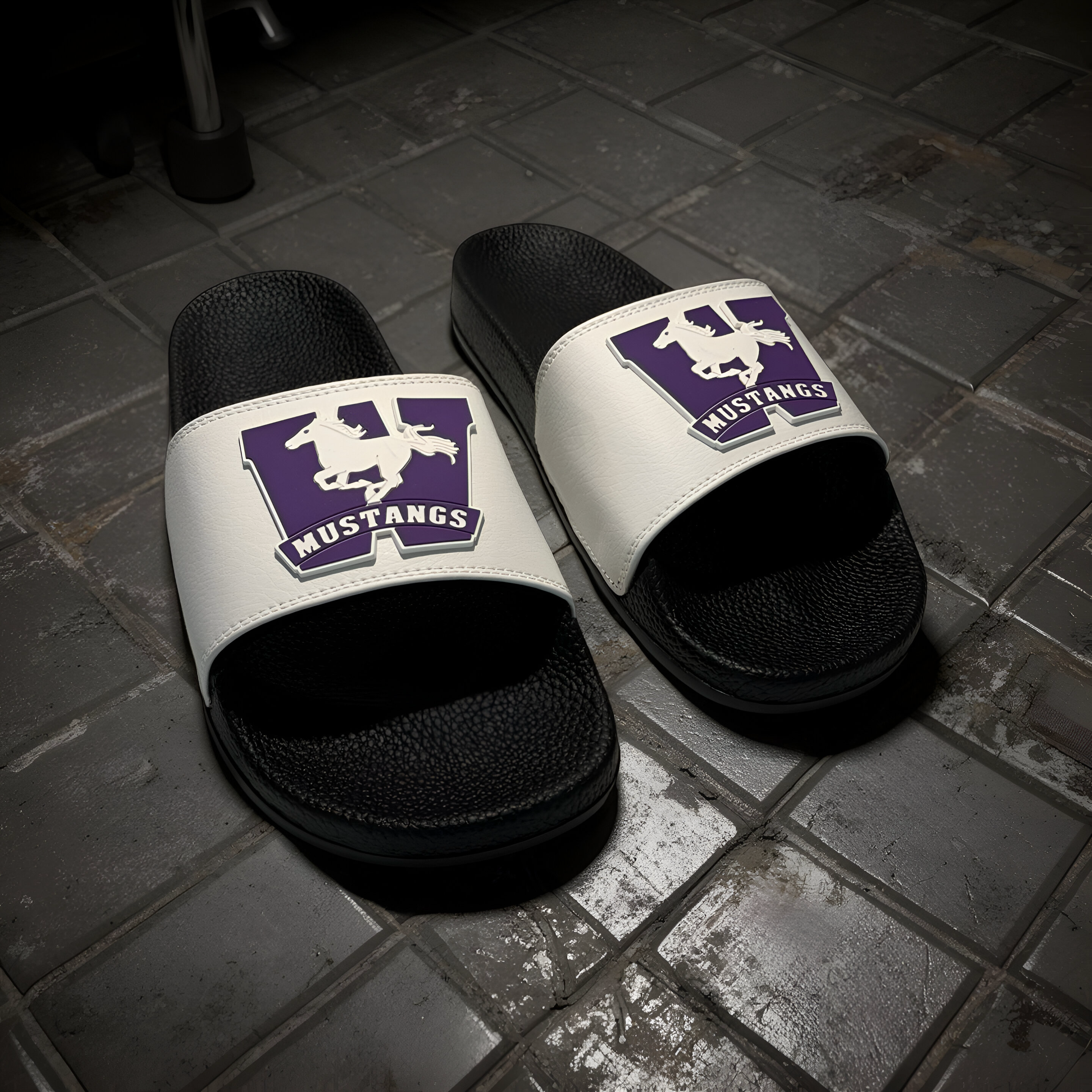 Western University Slides